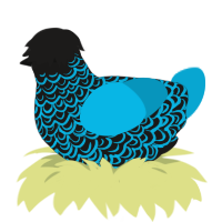A sable and cerulean chicken with a double-lace pattern
