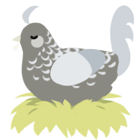 A ash and mist chicken with a half-lace pattern