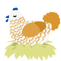 A white and orange chicken with a lace pattern