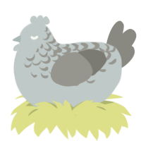 A silver and ash chicken with a half-lace pattern