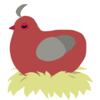 A red and ash chicken