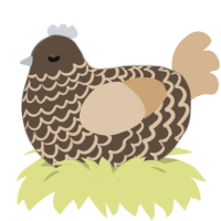 gimonure, a bark and beige chicken with a lace pattern