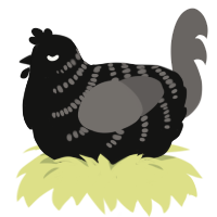 A black and grey chicken with a half-bar pattern