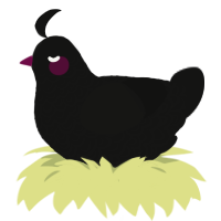 A black chicken with a double-lace pattern