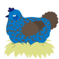 A sapphire and bark chicken with a speckle pattern