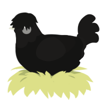 A black and sable chicken with a head pattern
