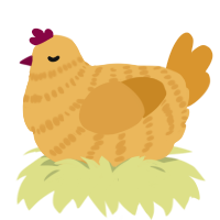 A honey and orange chicken with a bar pattern