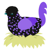 悪夢, a black and blurple chicken with a speckle pattern