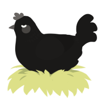 A sable chicken with a neck-band pattern