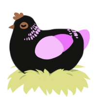 A black and lavender chicken with a neck-band pattern
