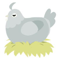 A silver chicken with a head pattern