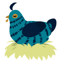 sea glass, a sea and tumblr chicken with a bar pattern
