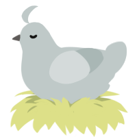A silver chicken