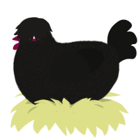 A sable and black chicken with a double-lace pattern