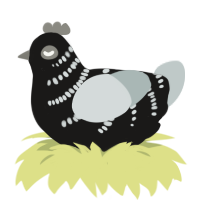 A sable and silver chicken with a half-bar pattern