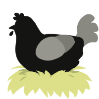 A black and ash chicken