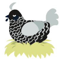 A sable and silver chicken with a lace pattern