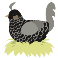 A sable and ash chicken with a lace pattern