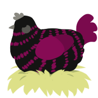 A black and wine chicken with a bar pattern