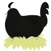 A black chicken with a lace pattern