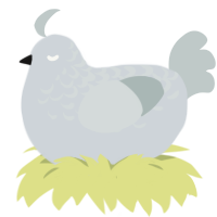 A mist and silver chicken with a half-lace pattern