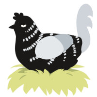 A sable and mist chicken with a half-bar pattern
