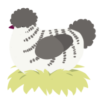 A white and grey chicken with a half-bar pattern