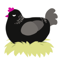 A black and grey chicken with a neck-band pattern