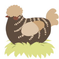 A bark and beige chicken with a half-bar pattern