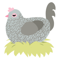A silver and ash chicken with a double-lace pattern