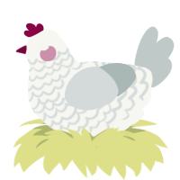A white and silver chicken with a lace pattern