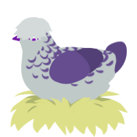 A silver and overcast chicken with a half-lace pattern