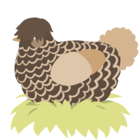 A bark and beige chicken with a lace pattern