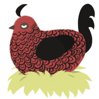 A red and sable chicken with a double-lace pattern
