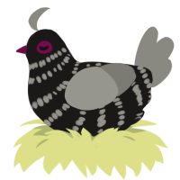 A sable and ash chicken with a bar pattern