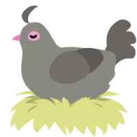 A ash and grey chicken