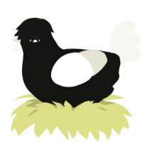 Critical Darling, a black and white chicken