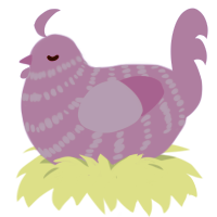 A indigo chicken with a bar pattern
