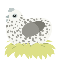 A white and ash chicken with a speckle pattern
