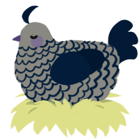A ash and tumblr chicken with a lace pattern
