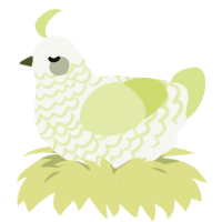 A white and lemon chicken with a lace pattern