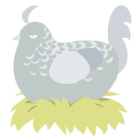 A silver and mist chicken with a half-lace pattern