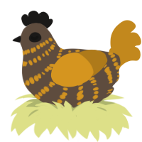 A bark and ochre chicken with a bar pattern