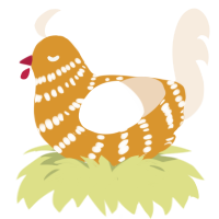 A orange and cream chicken with a bar pattern