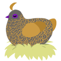 A grey and gold chicken with a double-lace pattern
