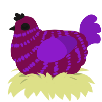 A wine and violet chicken with a bar pattern