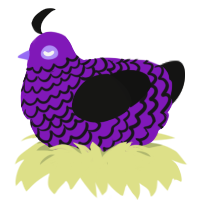 A violet and black chicken with a lace pattern