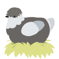 A grey and mist chicken with a head pattern