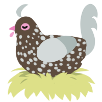 A bark and silver chicken with a speckle pattern