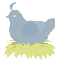 A bark chicken